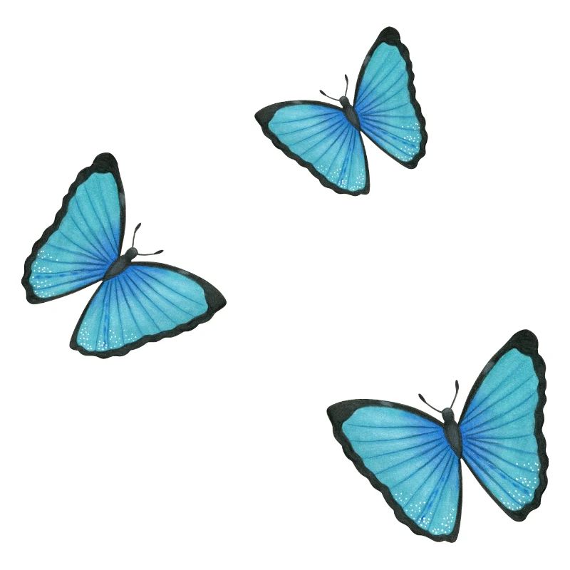 papillons bleus