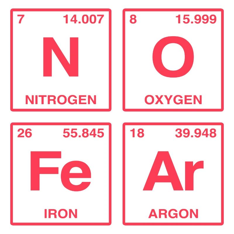 NO FEAR - avec des éléments du système de perdiode