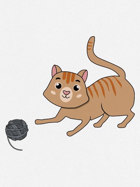 Cat with wool