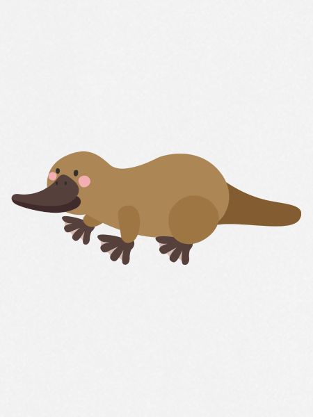 platypus