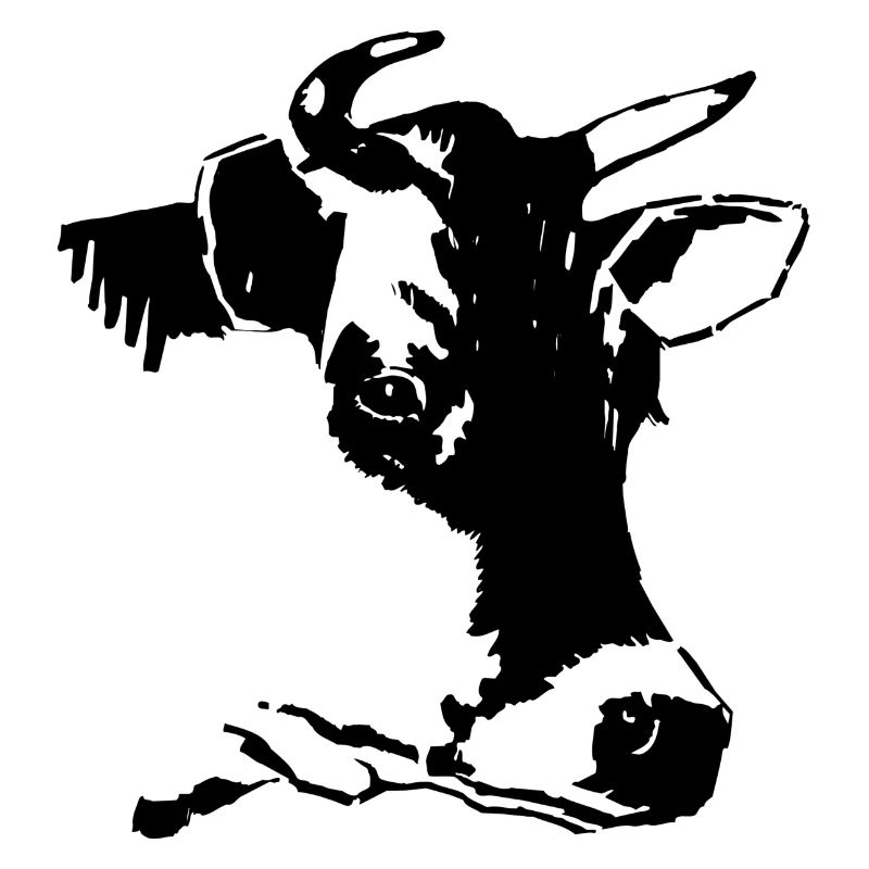 vache