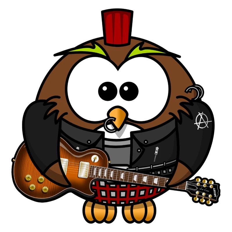 Eule als Punk mit Gitarre. Geschenkidee