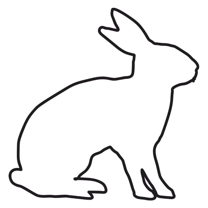 Hase