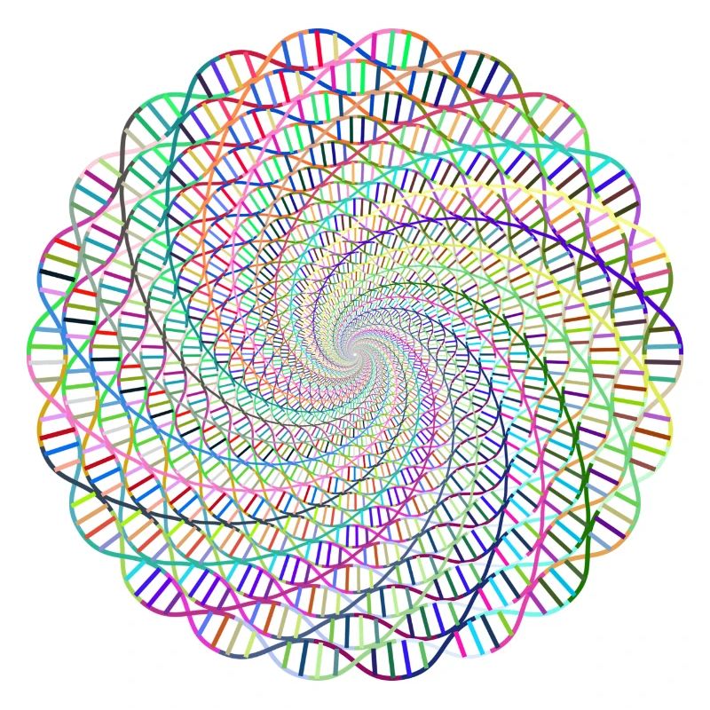 DNA