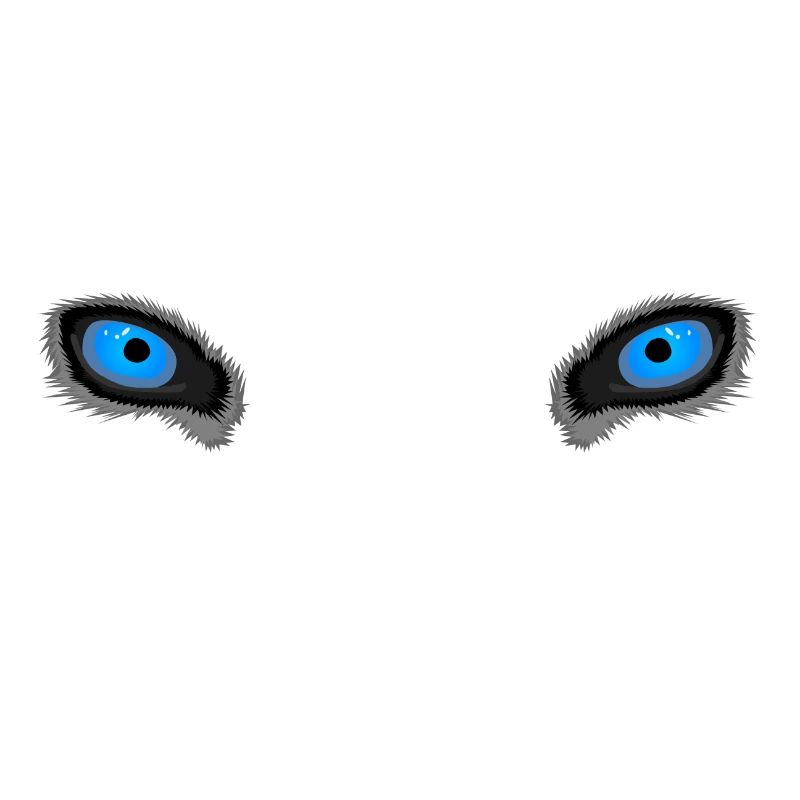 Yeux de loup bleu profond