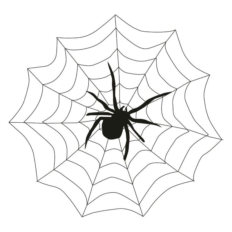 Spider web
