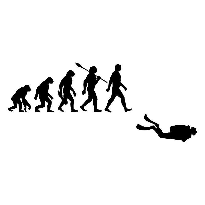 Evolution Tauchen Taucher