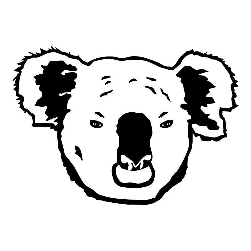 Koala - Koala bear