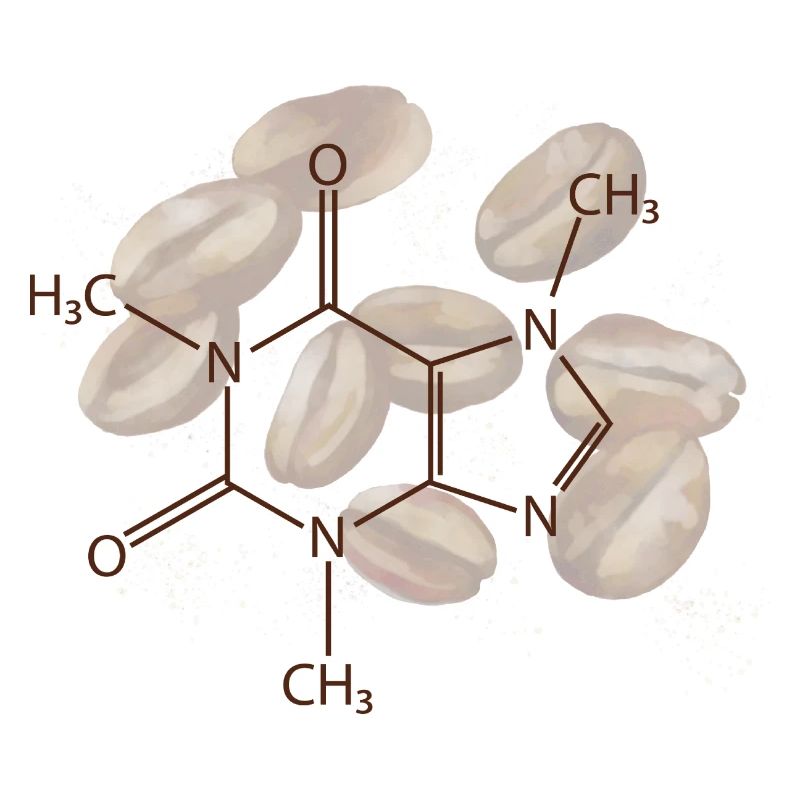 Formule structurante caféine
