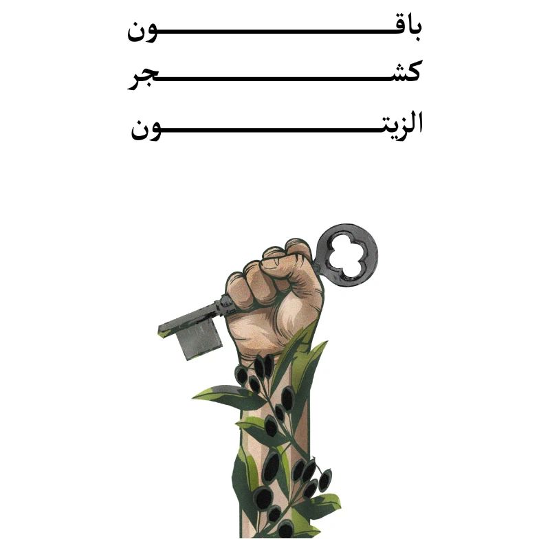 Solid like Oliven trees