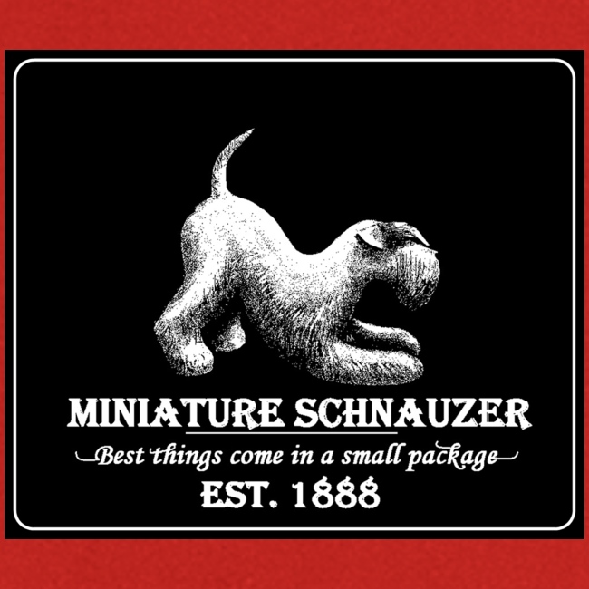 Miniature schnauzer vintage