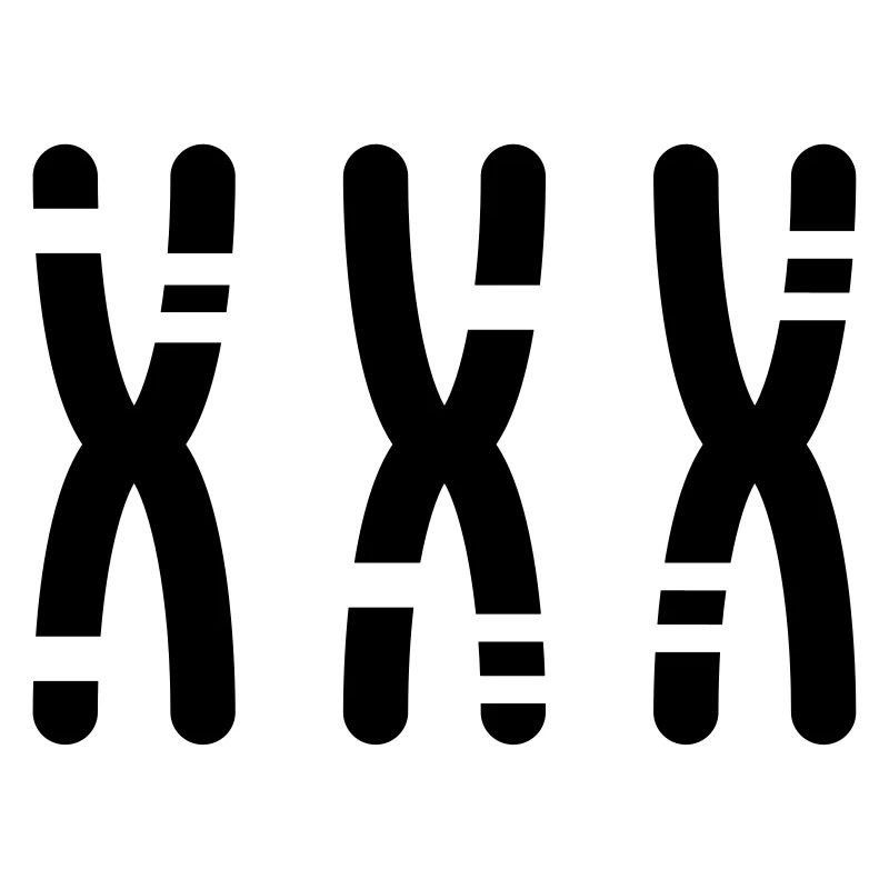 Chromosomen