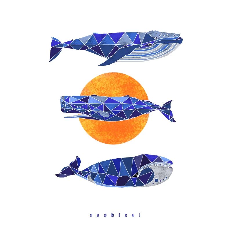three whales