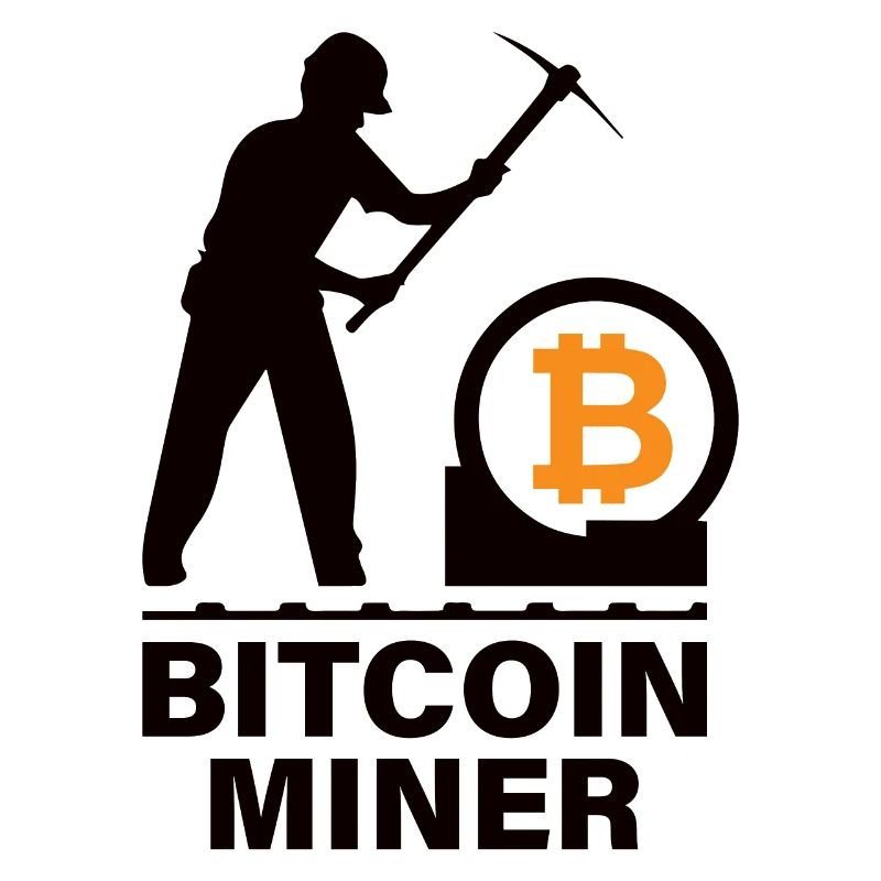 Bitcoin BTC Satoshi Miner Mining Maximalist