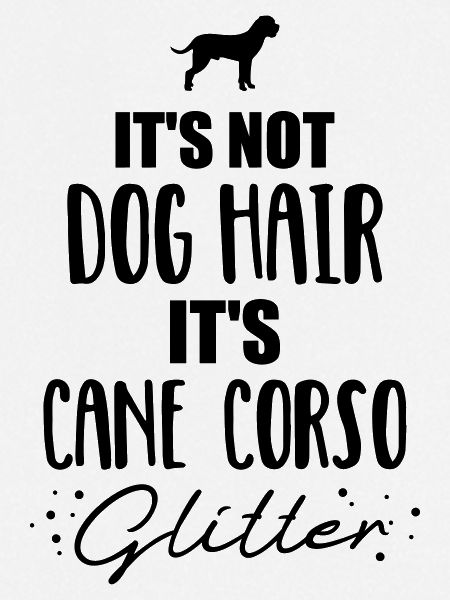 Cane Corso