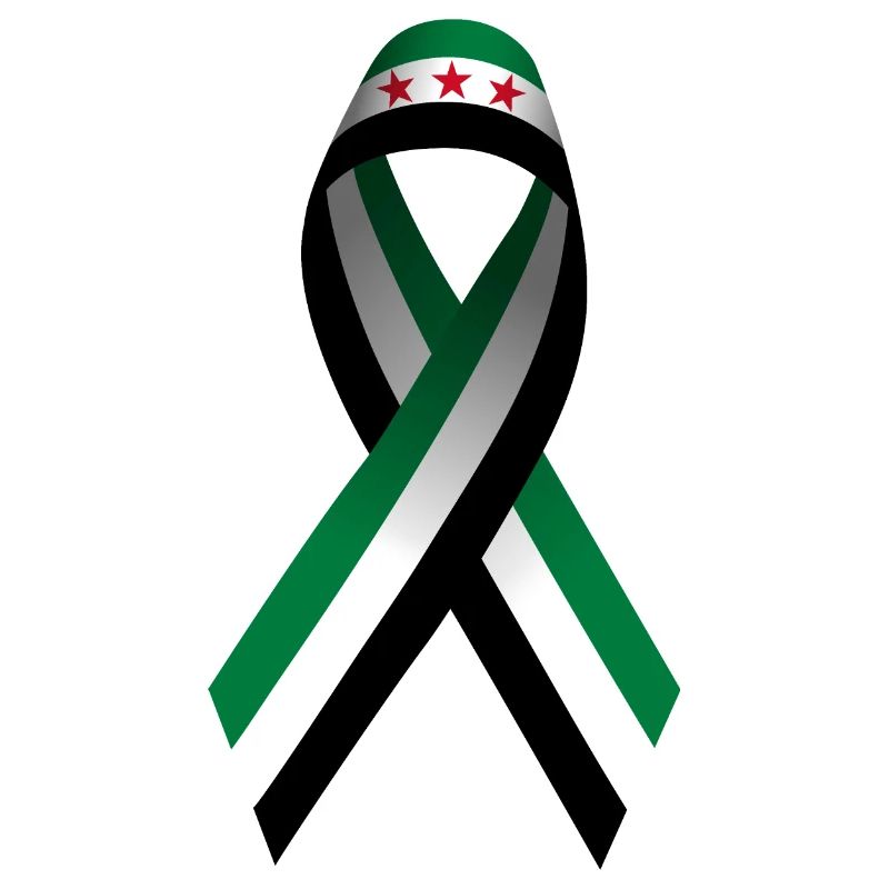 Paix pour la Syrie - Peace Loop