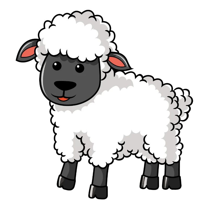 sheep