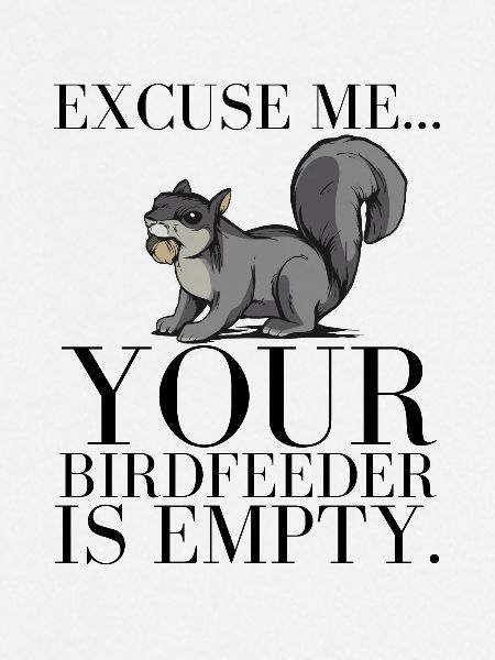 Eichhörnchen