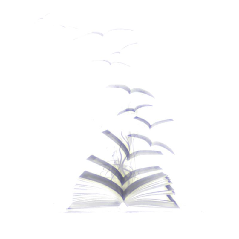 LEARNING BOOKS