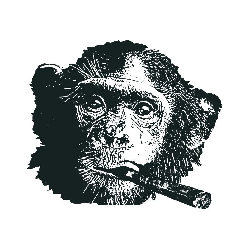 Cigar With Smoking Monkey Aficionado Gift
