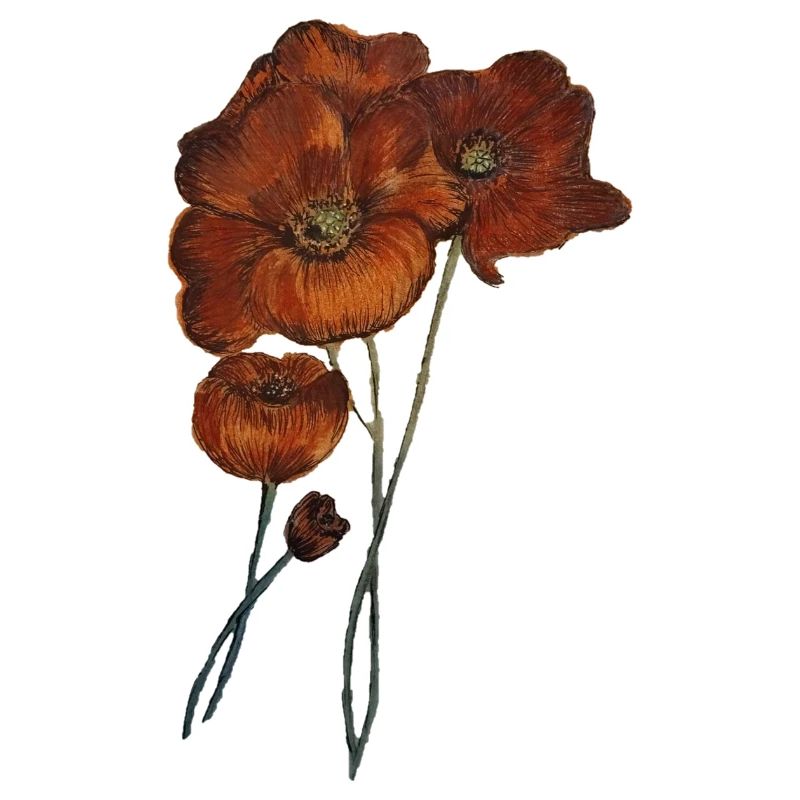 COQUELICOTS