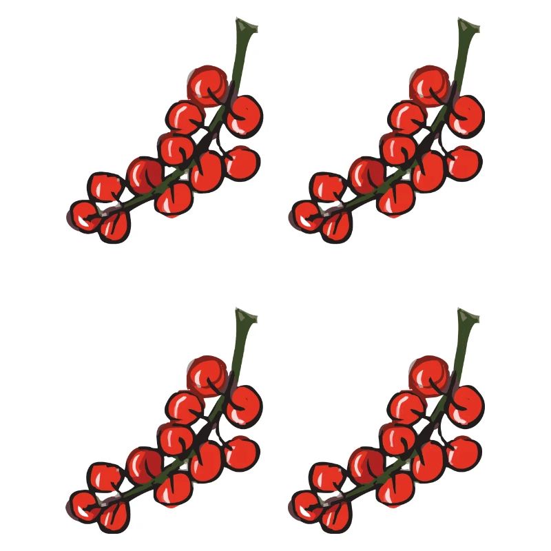 red currant - red currant