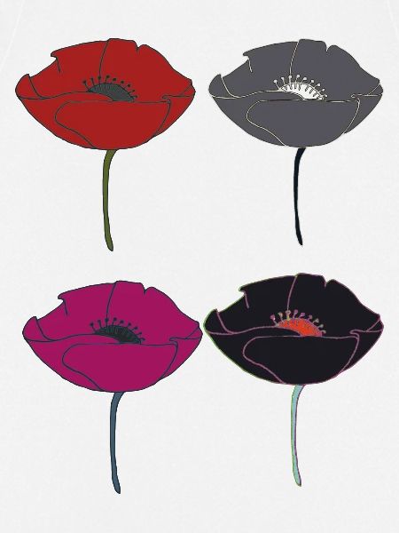 mohnblumen bunt