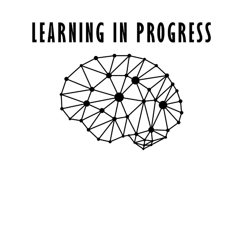 Human brain neuronal network learning process