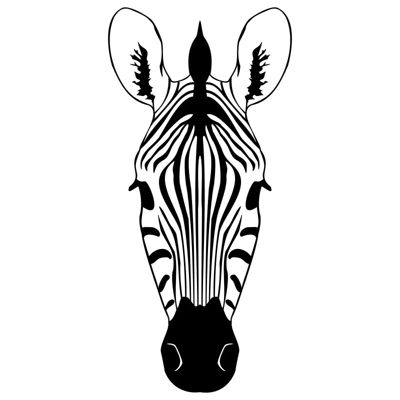 Zebra Illustration