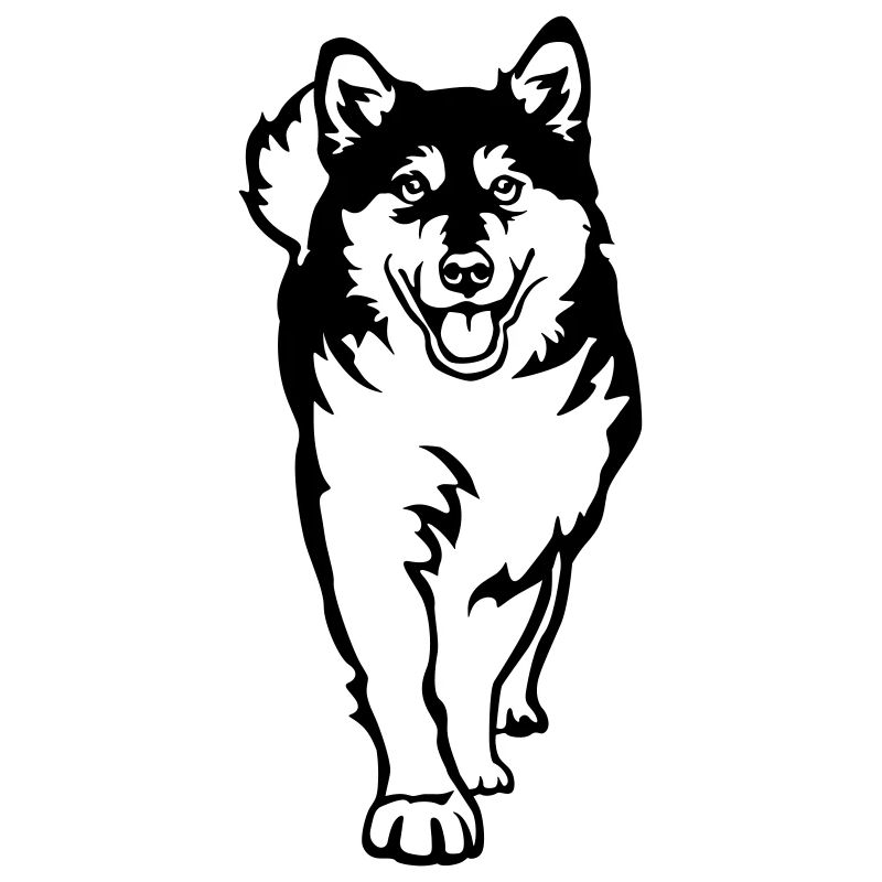 Alaskan Malamute
