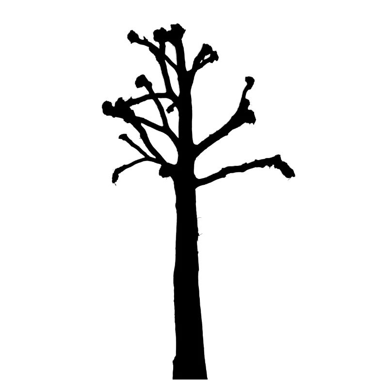 Tree without crown - Line drawing SW Sketch