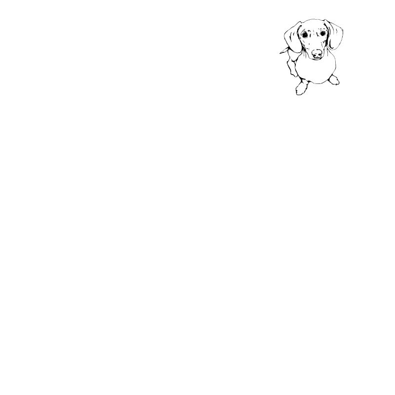 Teckel, Teckel, Teckel, Teckel à poil dur Line Art