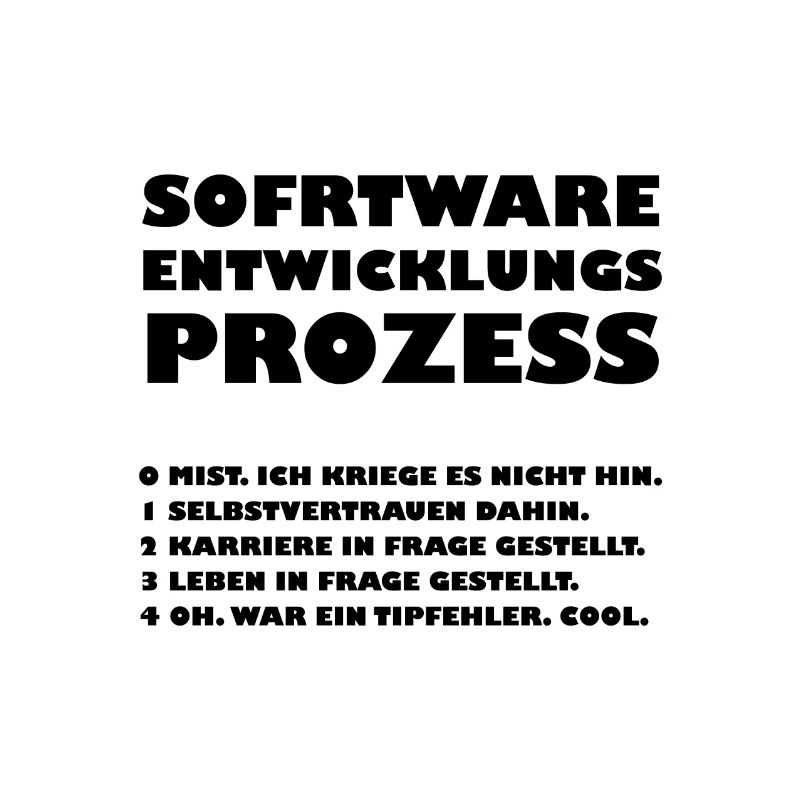 Software development process