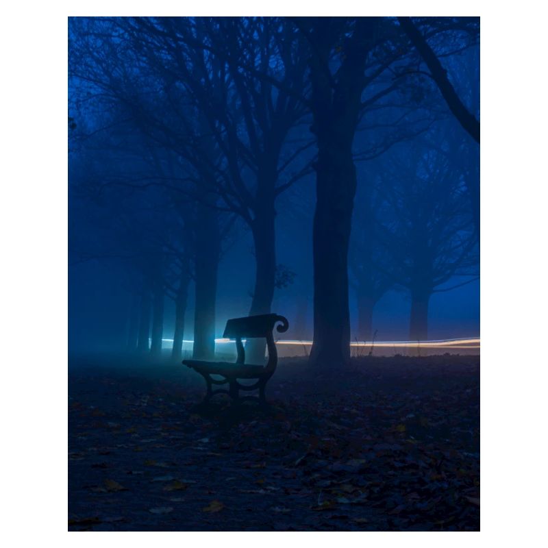 Banc solitaire dans le parc brumeux