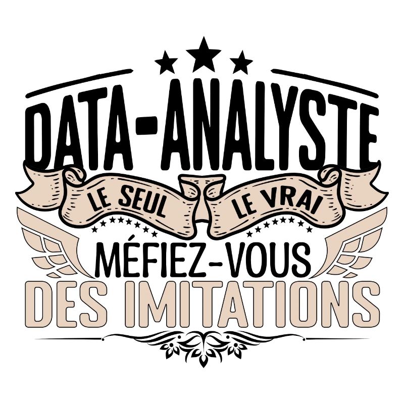 Data Analyste cadeau Data Analyste le vrai Data An