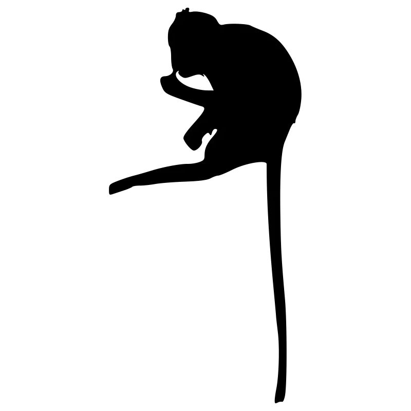 singe sur branche