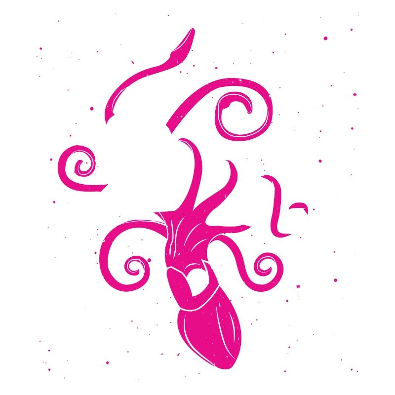 Squid vs Space Shuttle