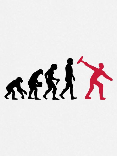 Eisstock Evolution