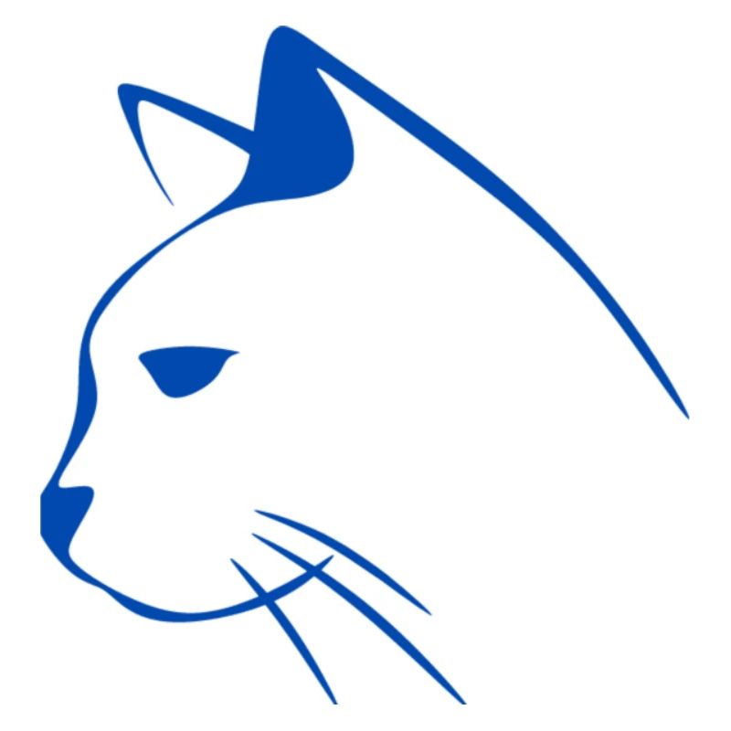 Chat chat chat chat de chat cadeau