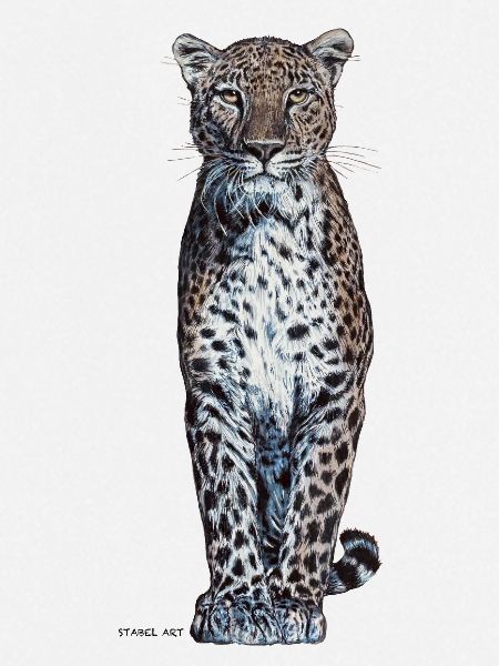 Panther