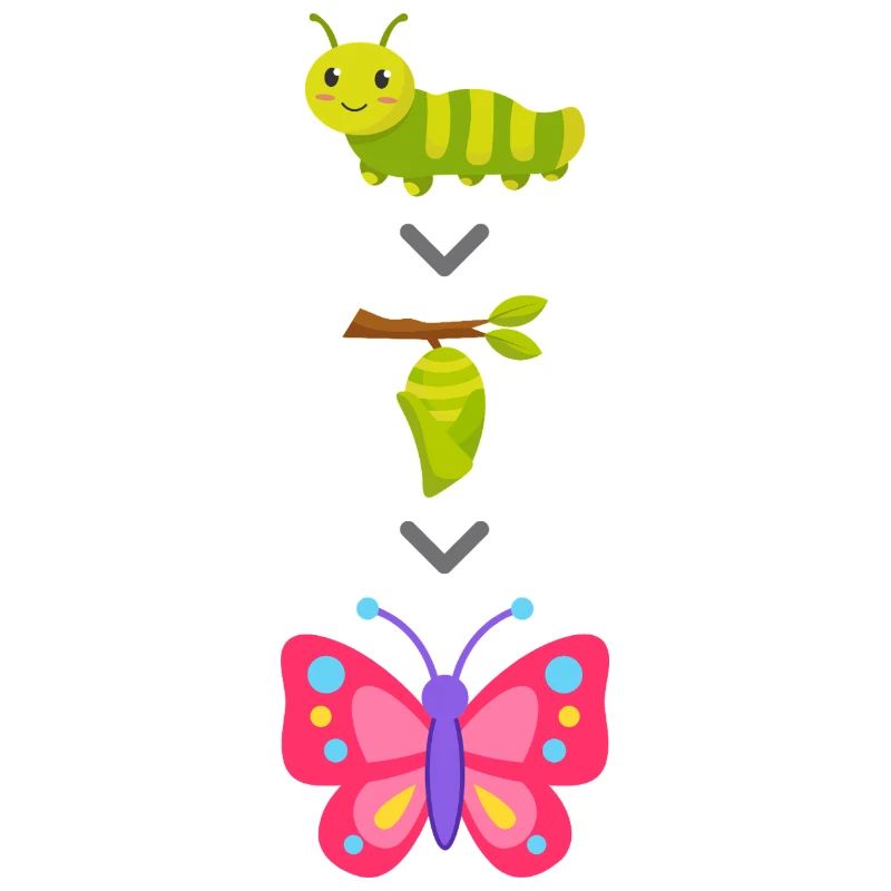 Transformation de chenille en papillon