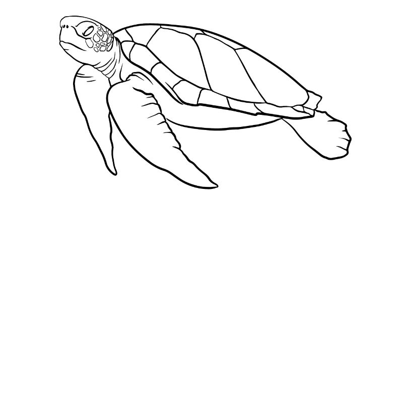 Silent Ocean Walker Turtle