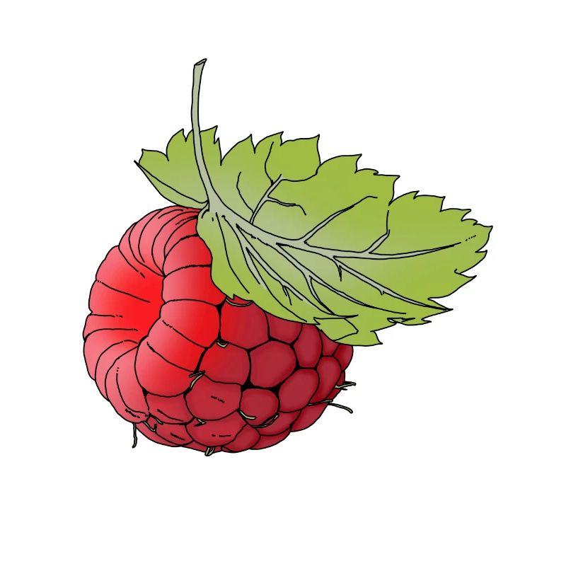 Delicious raspberry gift idea for fruit salad fans