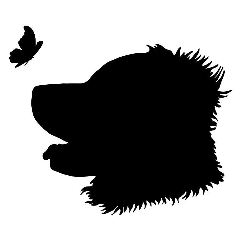 Golden Retriever mit Schmetterling