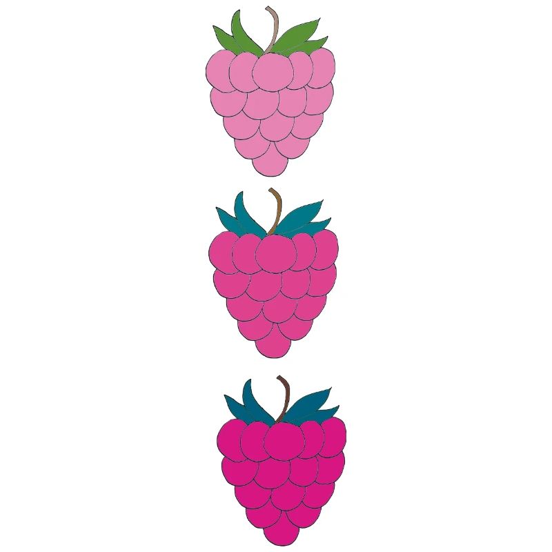 Framboises