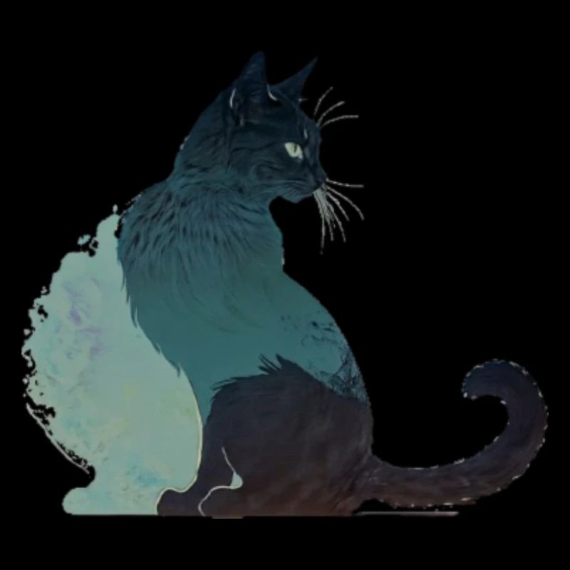 black cat