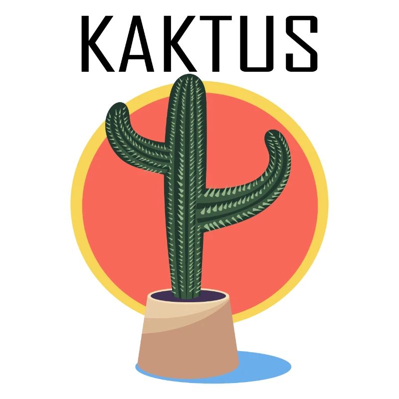 cactus sun mexico
