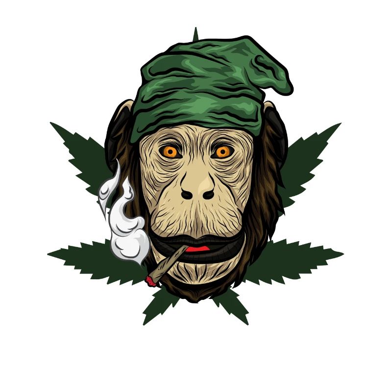 Kiffender Affe Mit Joint