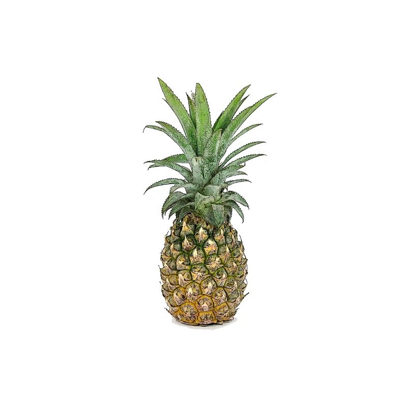 Pineapple | Pineapple