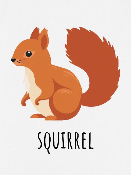 Kastanienrot Eichhörnchen